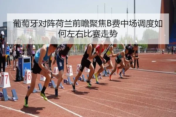 葡萄牙对阵荷兰前瞻聚焦B费中场调度如何左右比赛走势